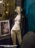 IMG_5644.jpg