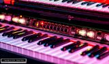 IMG_4703-CR2_D.jpg