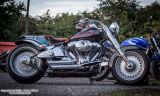 IMG_3227.jpg