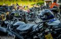948A1564.jpg
