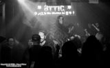 IMG_4657.jpg