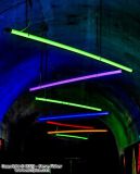 IMG_6059-CR2_D.jpg
